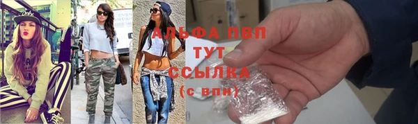 мдпв Дмитров