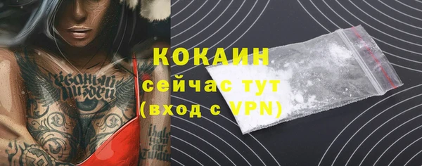 мдпв Дмитров