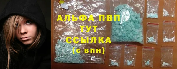 мдпв Дмитров