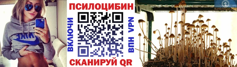 Псилоцибиновые грибы ЛСД  сколько стоит  Емва 
